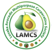 Screenshot 2025-04-21 at 6.08.34 PM